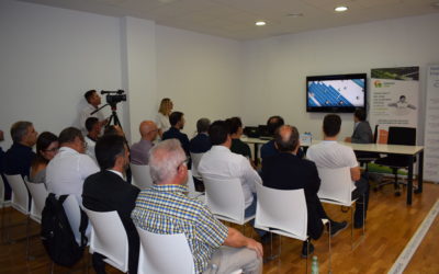 Cubierta Solar y Avecal fomentan el autoconsumo fotovoltaico en el calzado para ganar competitividad por el ahorro energético