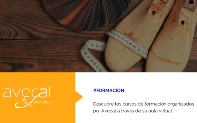 Avecal habilita un aula virtual para impartir su programa de formación especializada para el calzado de manera online