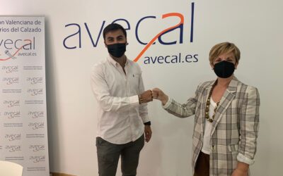 Avecal incorpora un servicio de showroom virtual para sus asociados
