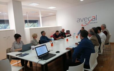 Avecal, la Dirección General de FP y empresarios del calzado y marroquinería abordan la adaptación de contenidos en los ciclos formativos